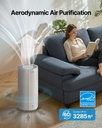 Coway Airmega 450