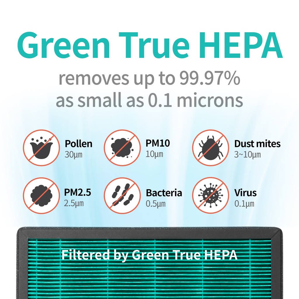 Coway HEPA Filter Set AP-1019C