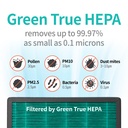 Coway HEPA Filter Set AP-1019C
