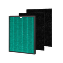 Coway HEPA Filter Set AP-1019C